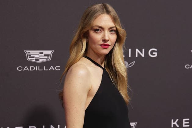 The 37th Annual Palm Springs International Film Festival Film Awards, Arrivals Amanda Seyfried attends The 37th Annual Palm Springs International Film Festival Film Awards at Palm Springs Convention Center on January 03, 2026 in Palm Springs, California. Palm Springs Palm Springs Convention Center California USA Copyright: xCraSH imageSPACEx