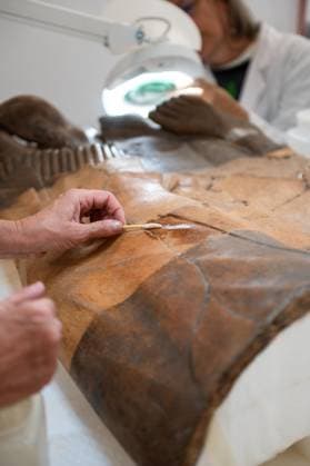 **NO WEB OR NEWSPAPERS ONLY FOR ITALY** Restoration of the Sarcophagus of the Etruscan Spouses at the National Etruscan Museum of Villa Giulia  Copyright: xRomax xipa-agency.netx xRomax IPA_Agency_IPA69712473