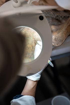 **NO WEB OR NEWSPAPERS ONLY FOR ITALY** Restoration of the Sarcophagus of the Etruscan Spouses at the National Etruscan Museum of Villa Giulia  Copyright: xRomax xipa-agency.netx xRomax IPA_Agency_IPA69712478