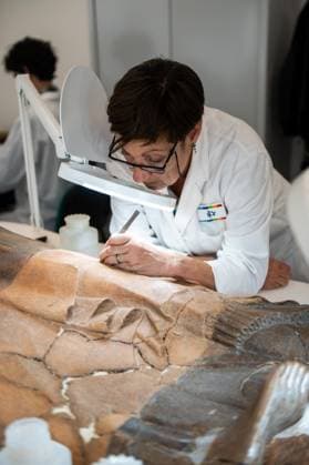 **NO WEB OR NEWSPAPERS ONLY FOR ITALY** Restoration of the Sarcophagus of the Etruscan Spouses at the National Etruscan Museum of Villa Giulia  Copyright: xRomax xipa-agency.netx xRomax IPA_Agency_IPA69712505