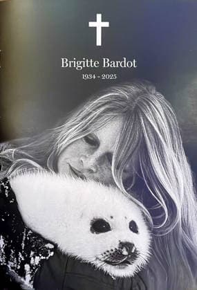 Funeral booklets for Brigitte Bardots funeral in the Parish Church of Notre Dame de lAssomption in Saint Tropez, France, January 7, 2026 Brigitte Bardot, an icon of French cinema and an international icon, died on December 28, 2025 at the age of 91 at her legendary estate in La Madrague, in Saint Tropez, France Revealed to the world through her role in Et DieuÖ créa la femme , she had helped make Saint Tropez a world-famous landmark The actress will be laid to rest on January 7, 2026 in the Saint Tropez marine cemetery, alongside her father Louis Bardot 1896 1975 and her mother Anne Marie Mucel 1912 1978 A religious ceremony will be held beforehand in the Saint Tropez church, where relatives, Bestimage Funeral booklets for the funeral of B  Copyright: xAgencex xBestimagexAgencex xBestimagex
