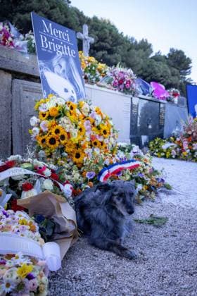 Brigitte Bardot s Grave at The Marine Cemetery - Saint-Tropez Wreath of flowers and photographs of late French actress Brigitte Bardot are pictured around her grave at the marine cemetery, following the funeral ceremony at Notre-Dame de l Assomption church, in Saint-Tropez, southeastern France, on January 7, 2026. French film sensation Brigitte Bardot, a symbol of sexual liberation in the 1950s and 1960s who reinvented herself as an animal rights defender and embraced far-right views, died on December 28, 2025 aged 91. Photo by Shootpix ABACAPRESS.COM Saint-Tropez France  Copyright: xShootpix ABACAx