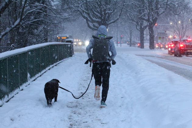 Driving snow on Thursday morning in Hamburg A man jogs with his dog along a snow-covered path Barmbek Hamburg