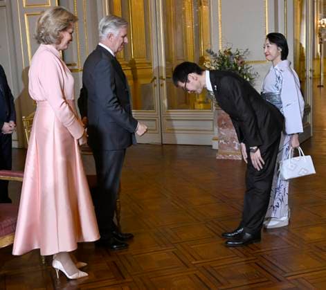 King Philippe and Queen Mathilde meet diplomats 08 01 2026 BRUSSELS, BELGIUM - JANUARY 08 : At the beginning of 2026, King Philippe and Queen Mathilde meet diplomats on January 8, 2026 in Brussels, Belgium, 08 01 2026 Brussels Belgium  Copyright: xDidierxLebrunx