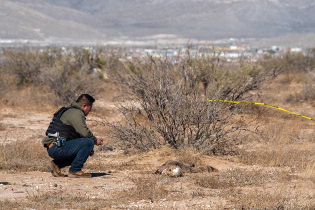 January 9, 2026: CIUDAD JUoÂREZ, Chihuahua, Mexico Ã¢â‚¬ January 9, 2025..Forensic experts process the scene where two bodies in an advanced state of decomposition were found after an anonymous report. - ZUMAp241 20260109_zip_p241_001 Copyright: xDavidxPeinadox
