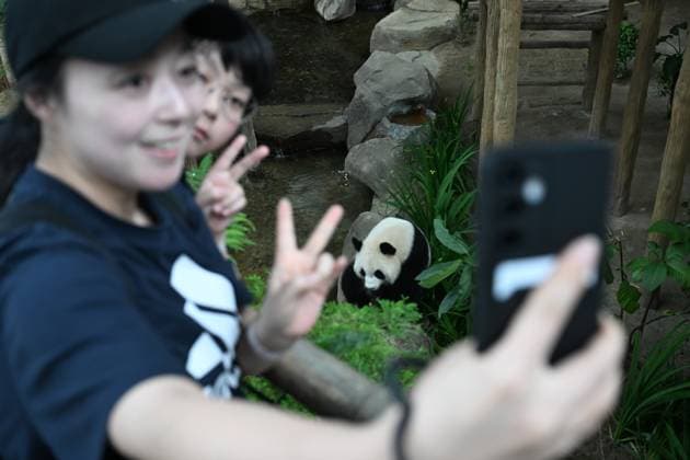 (260110) -- KUALA LUMPUR, Jan. 10, 2026 -- People pose for selfies with giant panda Xiaoyue at Zoo Negara in Selangor, Malaysia, on Jan. 10, 2026. China s giant pandas Chenxing and Xiaoyue, currently on loan to Malaysia, officially met the public here on Saturday. TO GO WITH New giant panda couple makes public debut in Malaysia ) MALAYSIA-KUALA LUMPUR-GIANT PANDAS-PUBLIC DEBUT ChengxYiheng 
