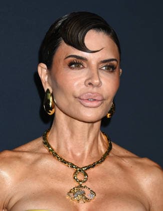 2026 WWD Style Awards Lisa Rinna arriving to the 2026 Women™s Wear Daily WWD Style Awards held at the Regent Santa Monica Beach on January 9, 2026 in Santa Monica, Ca. Santa Monica Regent Santa Monica Beach California USA Copyright: xTammiexArroyox xAFF-USA.comx