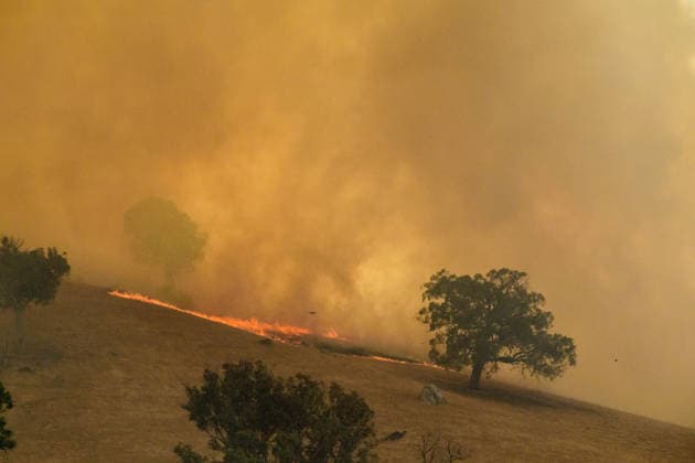 VICTORIA BUSHFIRES, A low grass fire burns across a hillside as heavy smoke blankets the landscape during bushfire conditions in Longwood, Victoria, Friday, January 9th, 2026. ( NO ARCHIVING Longwood Victoria AUSTRALIA  Copyright: xMichaelxCurriex 20260110157424747416