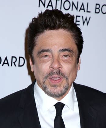 2026 National Board of Review Awards Gala Benicio Del Toro attending the 2026 National Board of Review Awards Gala held at Cipriani 42nd Street on January 13, 2026 in New York City, NY New York City Cipriani 42nd Street NY USA Copyright: xStevenxBergman AFF-USA.COMx