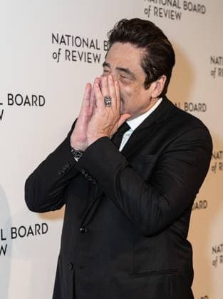 January 13, 2026, Bronx, New York, USA: Benicio Del Toro attends National Board of Review Awards Gala at Cipriani 42nd Street in New York, NY on January 13, 2026 Bronx USA - ZUMAr339 20260113_znp_r339_173 Copyright: xLevxRadinx