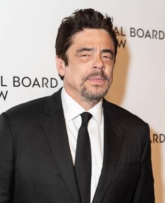January 13, 2026, Bronx, New York, USA: Benicio Del Toro attends National Board of Review Awards Gala at Cipriani 42nd Street in New York, NY on January 13, 2026 Bronx USA - ZUMAr339 20260113_znp_r339_174 Copyright: xLevxRadinx