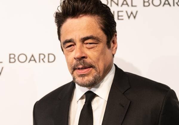 January 13, 2026, Bronx, New York, USA: Benicio Del Toro attends National Board of Review Awards Gala at Cipriani 42nd Street in New York, NY on January 13, 2026 Bronx USA - ZUMAr339 20260113_znp_r339_065 Copyright: xLevxRadinx