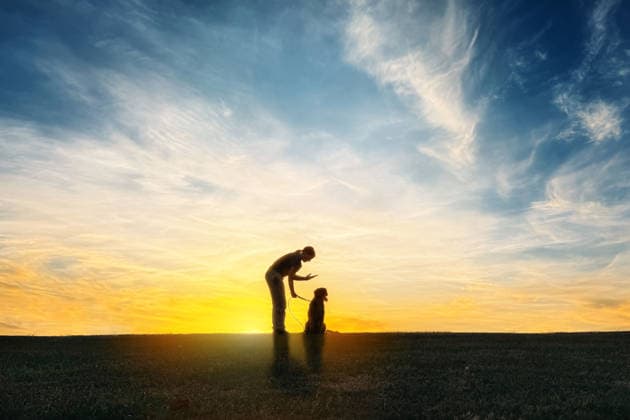 Girl and Dog Silhouette in Front of Sunset Tulsa, Oklahoma, United States CR_KRRY260104-1916611-01 ,model released, Symbolfoto