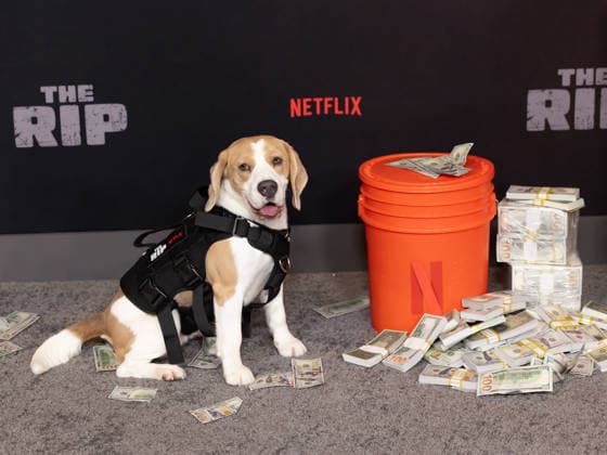 Arrivals for the World Premiere Of The Rip Featuring: Wilbur Where: New York, New York, United States When: 13 Jan 2026 Credit: Janet Mayer INSTARimages.com EDITORIAL USE ONLY. NOT FOR USE BY NEWSPAPERS BASED IN THE UK. Copyright: xx instar55380869