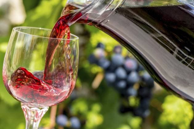 Rotwein fließt aus dem Glas ins Glas, vor dem Hintergrund blauer Trauben auf einem Weinberg. Gießen Sie den Wein in das Weinglas Red wine flows from the jar into the glass, on a background of blue grapes on a vineyard. Pour the wine into the wine glass Copyright: imageBROKER MilanxVasicek ibxiqx15875115.jpg
