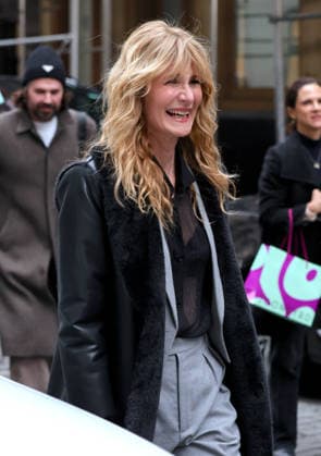 Laura Dern Leaving Her Hotel - NYC Actress Laura Dern is leaving her hotel in New York, NY on January 14, 2026. Photo by Dylan Travis ABACAPRESS.COM New York City NY United States  Copyright: xDylanxTravis ABACAx
