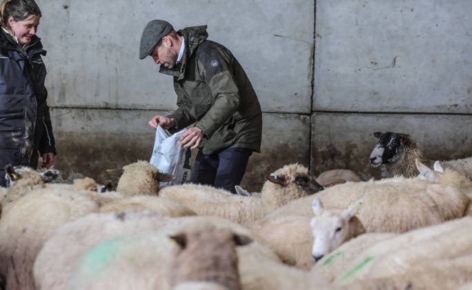. 15 01 2026. Herefordshire, United Kingdom. Prince William during a visit to Bridge End Farm in Herefordshire, United Kingdom.  xPoolx xi-Imagesx IIM-26507-0032