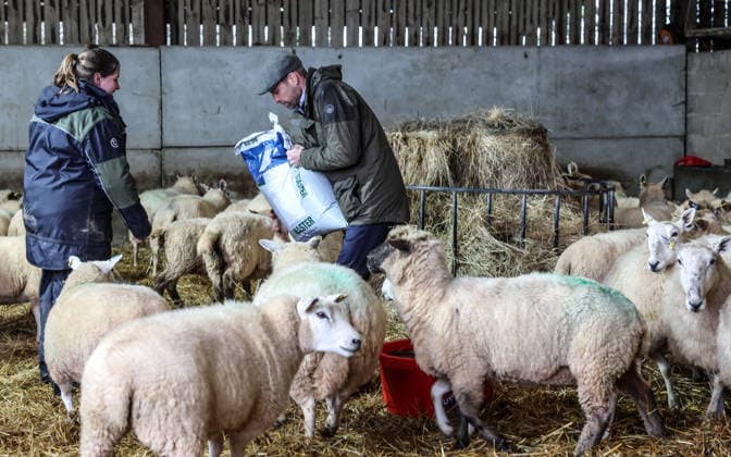 The Prince of Wales visits Bridge End Farm The Prince of Wales visits a family run farm as Patron of We Are Farming Minds a Herefordshire based charity committed to supporting farmers and promoting good mental health among the farming community across the UK, in Much Cowarne, Herefordshire, UK, on the 15th January 2026. Picture by Richard Pohle WPA-Pool Much Cowarne Bridge End Farm Herefordshire United Kingdom  WHA-0807
