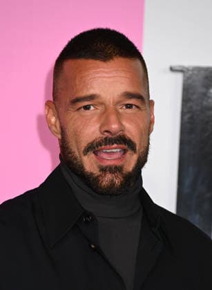 Apple TV™s ˜Palm Royale™ Season 2 Finale Ricky Martin arriving to Apple TV™s Palm Royale season 2 finale event held at The Wolf Theater at the Television Academy on January 15, 2026 in North Hollywood, Ca. North Hollywood The Wolf Theater at the Television Academy California USA Copyright: xTammiexArroyox xAFF-USA.comx