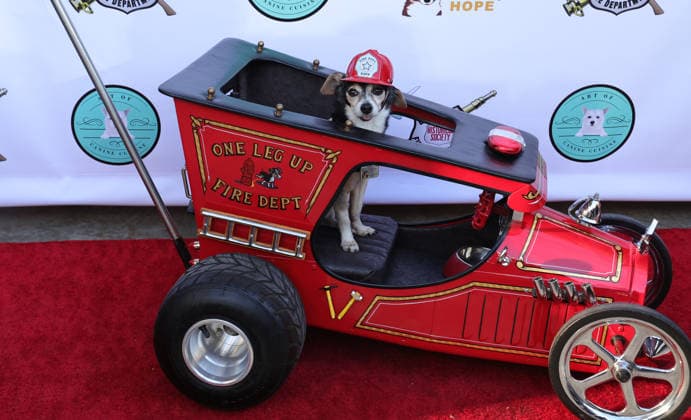 17 January 2026 - Los Angeles, California Hot Rod Homer. The Brave and the Rescued Honoring LA Fire Department First Responders held at The LA City Fire Museum l in Los Angeles. Los Angeles USA - ZUMAa123 20260117_zaa_a123_125 Copyright: xADx