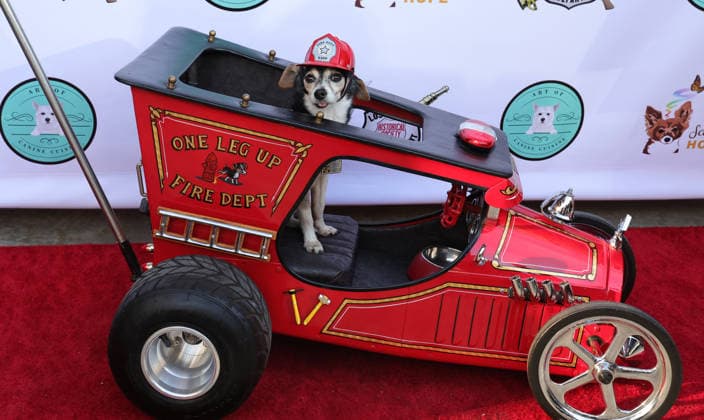 17 January 2026 - Los Angeles, California Hot Rod Homer. The Brave and the Rescued Honoring LA Fire Department First Responders held at The LA City Fire Museum l in Los Angeles. Los Angeles USA - ZUMAa123 20260117_zaa_a123_142 Copyright: xADx
