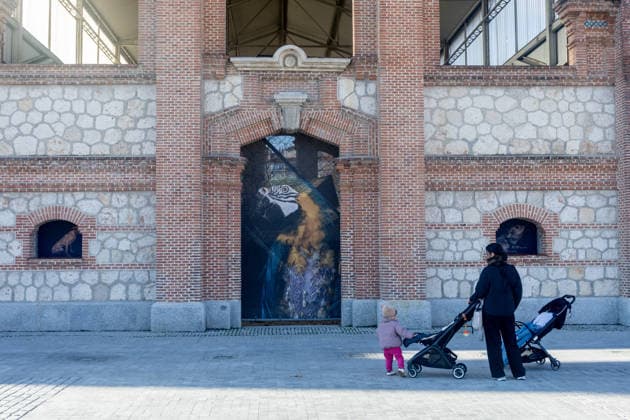 Exhibition The Animals by Estela de Castro Photographic exhibition The Animals by Estela de Castro, at Matadero de Madrid, on January 18, 2026, in Madrid Spain The artist Estela de Castro has portrayed for two years animals in sanctuaries and rescue, protection and care centers, with the intention of highlighting each specific life story, often crossed by exploitation, abandonment or experimentation 18 JANUARY 2026 PHOTOGRAPHIC EXHIBITION ANIMALS Madrid Madrid Spain  Copyright: xRicardoxRubiox 7227686