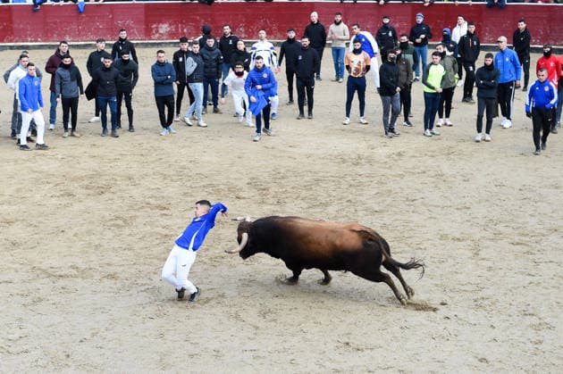 White Running of the Bulls in San Sebastian de los Reyes Runner fights in the bullring during one of the white running of the bulls in San Sebastian de los Reyes, January 18, 2026, in San Sebastian de los Reyes, Madrid Spain The running of the bulls, called white running of the bulls because they are held in winter, pays tribute to the patron saint of the municipality, San Sebastián Mártir The route has the same traditional route of the August running of the bulls, about 820 meters through the old town to the La Tercera bullring and in todays run the bulls are from the El Cotillo bull-ranch 18 JANUARY 2026 San Sebastian de los Reyes, Madr San Sebastian de los Reyes, Madr Espana Copyright: xGustavoxValientex 7227906
