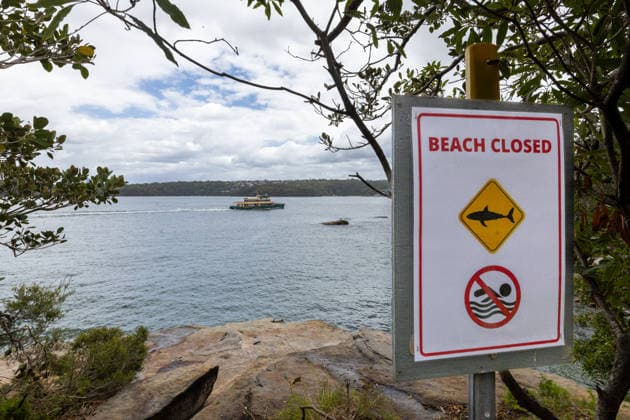 SHARK BEACH ATTACK SYDNEY, A general view of a popular rock jumping point at Hermitage Foreshore Walk near Shark Beach in Vaucluse, Sydney, New South Wales, Monday, January 19, 2026. A 13-year-old boy is fighting for his life after sustaining critical leg injuries in a shark attack near a popular Sydney beach. ( NO ARCHIVING Sydney New South Wales Australia  Copyright: xSitthixayxDitthavongx 20260119111569728524