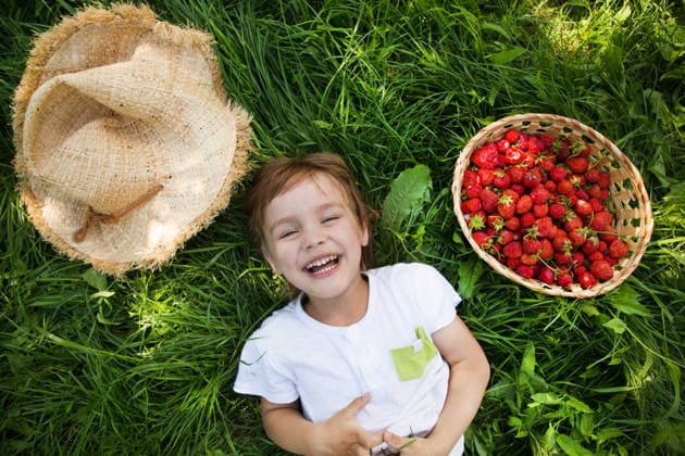Glücklicher, entzückender kleiner Junge, der im Sommer mit einem Erdbeerkorb im Gras liegt. Glücklicher kleiner Junge, der Spaß im Freien hat. Happy adorable child boy laying on grass with a strawberry basket in summer. Happy little boy having fun outdoors. (License=RF) ,model released, Symbolfoto Copyright: xZoonar.com UliaxZotaninax 24490521 ,model released, Symbolfoto ,property released