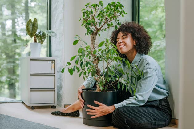 Businesswoman enjoying fun moment with plant in modern office model released, Symbolfoto property released, YTF03934