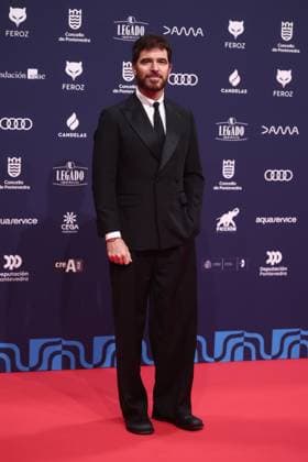 Red carpet of the Feroz Awards 2026 Actor Alfonso Bassave poses on the red carpet of the Feroz Awards 2026, at the Pazo da Cultura, on January 24, 2026, in Pontevedra, Galicia Spain The Feroz Awards are presented annually by the Asociación de Informadores Cinematográficos de Espana since 2014 with the aim of highlighting the best of the years audiovisual production, both in film and television 24 JANUARY 2026 Espana  Copyright: xEduardoxParrax 7241561