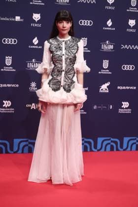 Red carpet of the Feroz Awards 2026 Actress Mireia Oriol poses on the red carpet of the Feroz Awards 2026, at the Pazo da Cultura, on January 24, 2026, in Pontevedra, Galicia Spain The Feroz Awards are presented annually by the Asociación de Informadores Cinematográficos de Espana since 2014 with the aim of highlighting the best of the years audiovisual production, both in film and television 24 JANUARY 2026 Pontevedra Galicia Pontevedra Galicia Galicia Espana  Copyright: xEduardoxParrax 7241578