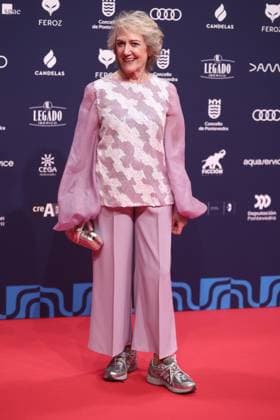 Red carpet of the Feroz Awards 2026 Actress María Jesus Hoyos poses on the red carpet of the Feroz Awards 2026, at the Pazo da Cultura, on January 24, 2026, in Pontevedra, Galicia Spain The Feroz Awards are presented annually by the Asociación de Informadores Cinematográficos de Espana since 2014 with the aim of highlighting the best of the years audiovisual production, both in film and television 24 JANUARY 2026 Pontevedra Galicia Pontevedra Galicia Galicia Spain  Copyright: xEduardoxParrax 7241616