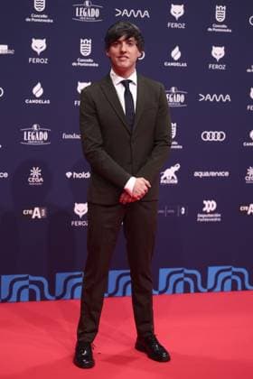 Red carpet of the Feroz Awards 2026 Screenwriter Diego San José poses on the red carpet of the Feroz Awards 2026, at the Pazo da Cultura, on January 24, 2026, in Pontevedra, Galicia Spain The Feroz Awards are presented annually by the Asociación de Informadores Cinematográficos de Espana since 2014 with the aim of highlighting the best of the years audiovisual production, both in film and television 24 JANUARY 2026 Espana  Copyright: xEduardoxParrax 7241678