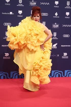 Red carpet of the Feroz Awards 2026 Singer Yurena poses on the red carpet of the Feroz Awards 2026, at the Pazo da Cultura, on January 24, 2026, in Pontevedra, Galicia Spain The Feroz Awards are presented annually by the Asociación de Informadores Cinematográficos de Espana since 2014 with the aim of highlighting the best of the years audiovisual production, both in film and television 24 JANUARY 2026 Pontevedra Galicia Pontevedra Galicia Galicia Espana  Copyright: xEduardoxParrax 7241862