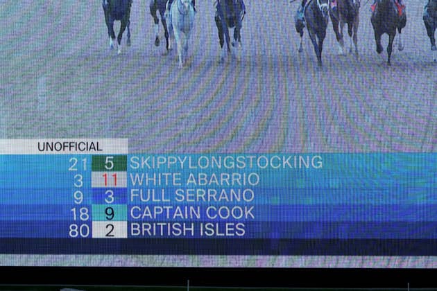 HALLANDALE BEACH, FL - JANUARY 24: Skippylongstocking (5) with jockey Tyler Gaffalione takes the lead against White Albarrio (11) with jockey Irad Ortiz, Jr. during the Pegasus World Cup Invitational horse race on January 24, 2026, at Gulfstream Park in Hallandale Beach, Florida People: Skippylongstocking, Tyler Gaffalione . Copyright: xhoo-me.com MediaPunchx