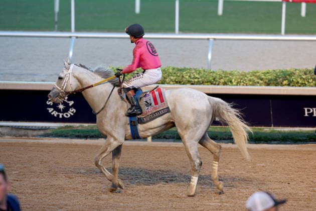 HALLANDALE BEACH, FL - JANUARY 24: Skippylongstocking (5) with jockey Tyler Gaffalione takes the lead against White Albarrio (11) with jockey Irad Ortiz, Jr. during the Pegasus World Cup Invitational horse race on January 24, 2026, at Gulfstream Park in Hallandale Beach, Florida People: Skippylongstocking, Tyler Gaffalione . Copyright: xhoo-me.com MediaPunchx