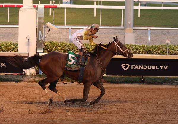 HALLANDALE BEACH, FL - JANUARY 24: Skippylongstocking (5) with jockey Tyler Gaffalione takes the lead against White Albarrio (11) with jockey Irad Ortiz, Jr. during the Pegasus World Cup Invitational horse race on January 24, 2026, at Gulfstream Park in Hallandale Beach, Florida People: Skippylongstocking, Tyler Gaffalione . Copyright: xhoo-me.com MediaPunchx