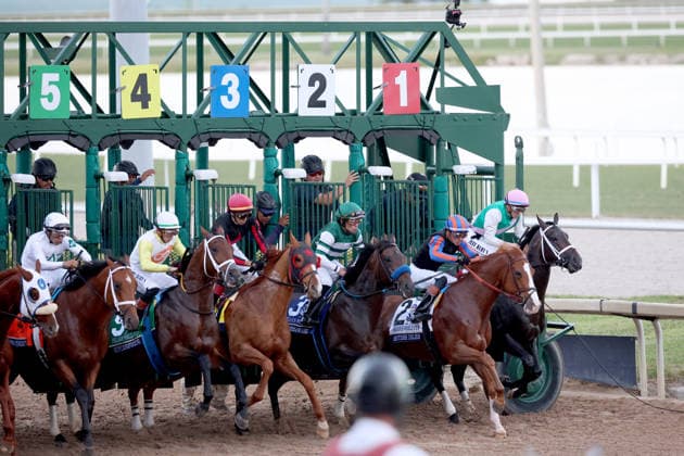 HALLANDALE BEACH, FL - JANUARY 24: Skippylongstocking (5) with jockey Tyler Gaffalione takes the lead against White Albarrio (11) with jockey Irad Ortiz, Jr. during the Pegasus World Cup Invitational horse race on January 24, 2026, at Gulfstream Park in Hallandale Beach, Florida People: Skippylongstocking, Tyler Gaffalione . Copyright: xhoo-me.com MediaPunchx