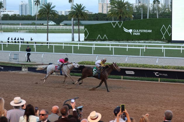 HALLANDALE BEACH, FL - JANUARY 24: Skippylongstocking (5) with jockey Tyler Gaffalione takes the lead against White Albarrio (11) with jockey Irad Ortiz, Jr. during the Pegasus World Cup Invitational horse race on January 24, 2026, at Gulfstream Park in Hallandale Beach, Florida People: Skippylongstocking, Tyler Gaffalione . Copyright: xhoo-me.com MediaPunchx