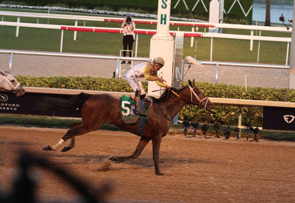 HALLANDALE BEACH, FL - JANUARY 24: Skippylongstocking (5) with jockey Tyler Gaffalione takes the lead against White Albarrio (11) with jockey Irad Ortiz, Jr. during the Pegasus World Cup Invitational horse race on January 24, 2026, at Gulfstream Park in Hallandale Beach, Florida People: Skippylongstocking, Tyler Gaffalione . Copyright: xhoo-me.com MediaPunchx