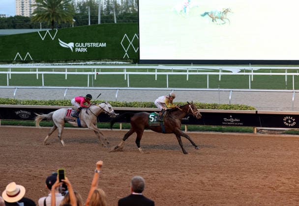 HALLANDALE BEACH, FL - JANUARY 24: Skippylongstocking (5) with jockey Tyler Gaffalione takes the lead against White Albarrio (11) with jockey Irad Ortiz, Jr. during the Pegasus World Cup Invitational horse race on January 24, 2026, at Gulfstream Park in Hallandale Beach, Florida People: Skippylongstocking, Tyler Gaffalione . Copyright: xhoo-me.com MediaPunchx