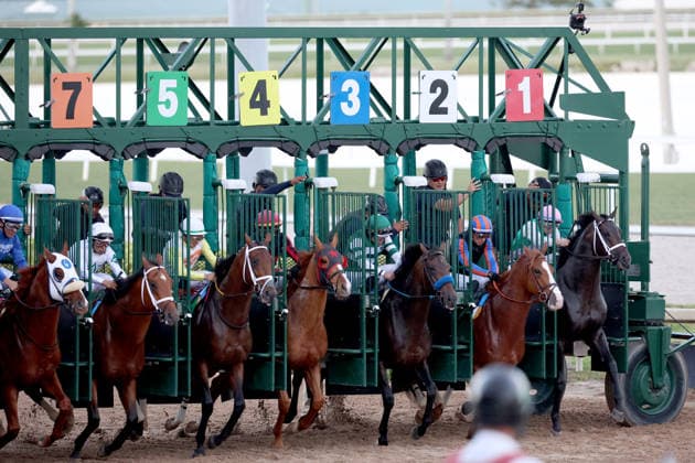 HALLANDALE BEACH, FL - JANUARY 24: Skippylongstocking (5) with jockey Tyler Gaffalione takes the lead against White Albarrio (11) with jockey Irad Ortiz, Jr. during the Pegasus World Cup Invitational horse race on January 24, 2026, at Gulfstream Park in Hallandale Beach, Florida People: Skippylongstocking, Tyler Gaffalione . Copyright: xhoo-me.com MediaPunchx