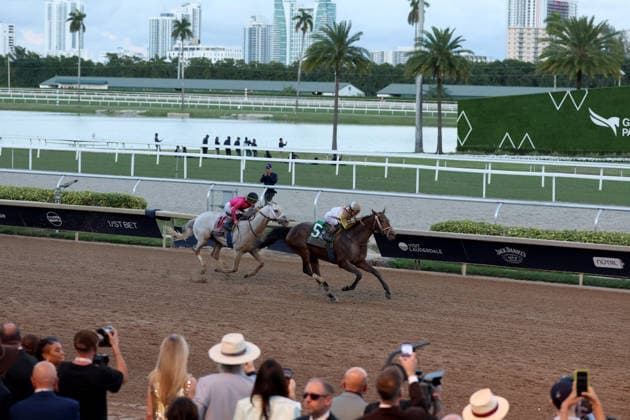 HALLANDALE BEACH, FL - JANUARY 24: Skippylongstocking (5) with jockey Tyler Gaffalione takes the lead against White Albarrio (11) with jockey Irad Ortiz, Jr. during the Pegasus World Cup Invitational horse race on January 24, 2026, at Gulfstream Park in Hallandale Beach, Florida People: Skippylongstocking, Tyler Gaffalione . Copyright: xhoo-me.com MediaPunchx