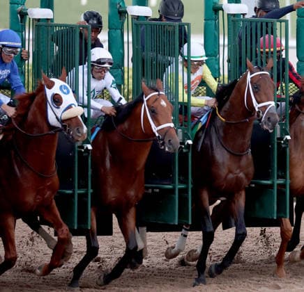 HALLANDALE BEACH, FL - JANUARY 24: Skippylongstocking (5) with jockey Tyler Gaffalione takes the lead against White Albarrio (11) with jockey Irad Ortiz, Jr. during the Pegasus World Cup Invitational horse race on January 24, 2026, at Gulfstream Park in Hallandale Beach, Florida People: Skippylongstocking, Tyler Gaffalione . Copyright: xhoo-me.com MediaPunchx