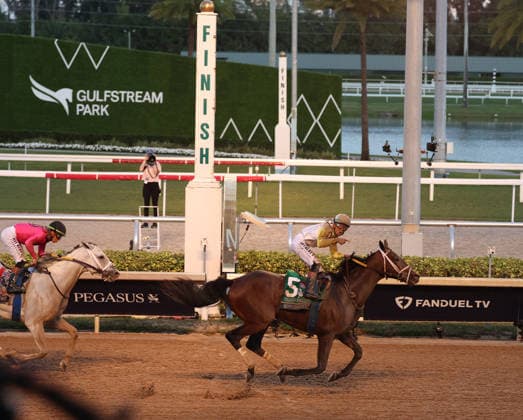 HALLANDALE BEACH, FL - JANUARY 24: Skippylongstocking (5) with jockey Tyler Gaffalione takes the lead against White Albarrio (11) with jockey Irad Ortiz, Jr. during the Pegasus World Cup Invitational horse race on January 24, 2026, at Gulfstream Park in Hallandale Beach, Florida People: Skippylongstocking, Tyler Gaffalione . Copyright: xhoo-me.com MediaPunchx