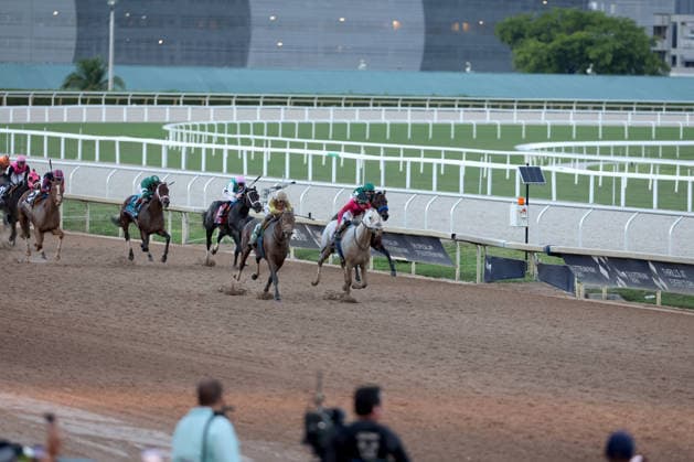 HALLANDALE BEACH, FL - JANUARY 24: Skippylongstocking (5) with jockey Tyler Gaffalione takes the lead against White Albarrio (11) with jockey Irad Ortiz, Jr. during the Pegasus World Cup Invitational horse race on January 24, 2026, at Gulfstream Park in Hallandale Beach, Florida People: Skippylongstocking, Tyler Gaffalione . Copyright: xhoo-me.com MediaPunchx