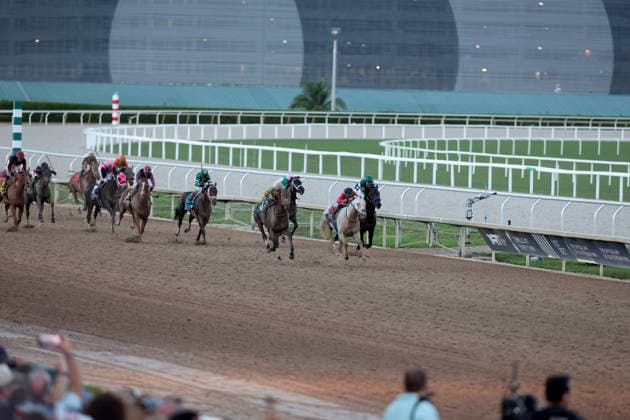 HALLANDALE BEACH, FL - JANUARY 24: Skippylongstocking (5) with jockey Tyler Gaffalione takes the lead against White Albarrio (11) with jockey Irad Ortiz, Jr. during the Pegasus World Cup Invitational horse race on January 24, 2026, at Gulfstream Park in Hallandale Beach, Florida People: Skippylongstocking, Tyler Gaffalione . Copyright: xhoo-me.com MediaPunchx