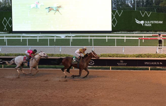 HALLANDALE BEACH, FL - JANUARY 24: Skippylongstocking (5) with jockey Tyler Gaffalione takes the lead against White Albarrio (11) with jockey Irad Ortiz, Jr. during the Pegasus World Cup Invitational horse race on January 24, 2026, at Gulfstream Park in Hallandale Beach, Florida People: Skippylongstocking, Tyler Gaffalione . Copyright: xhoo-me.com MediaPunchx