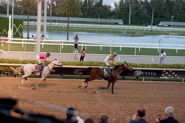 HALLANDALE BEACH, FL - JANUARY 24: Skippylongstocking (5) with jockey Tyler Gaffalione takes the lead against White Albarrio (11) with jockey Irad Ortiz, Jr. during the Pegasus World Cup Invitational horse race on January 24, 2026, at Gulfstream Park in Hallandale Beach, Florida People: Skippylongstocking, Tyler Gaffalione . Copyright: xhoo-me.com MediaPunchx